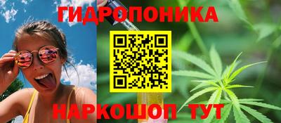 PSILOCYBIN Кандалакша