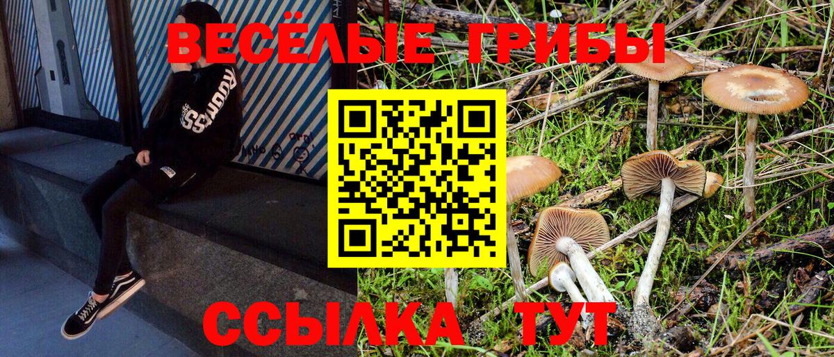 Псилоцибиновые грибы ЛСД  Вход с VPN  купить закладку  Псилоцибиновые грибы прущие грибы  Шуя 